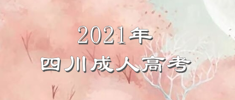 2021年成都成人高考什么时候查成绩（成绩查询）