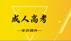 2021年四川成考网上报名流程